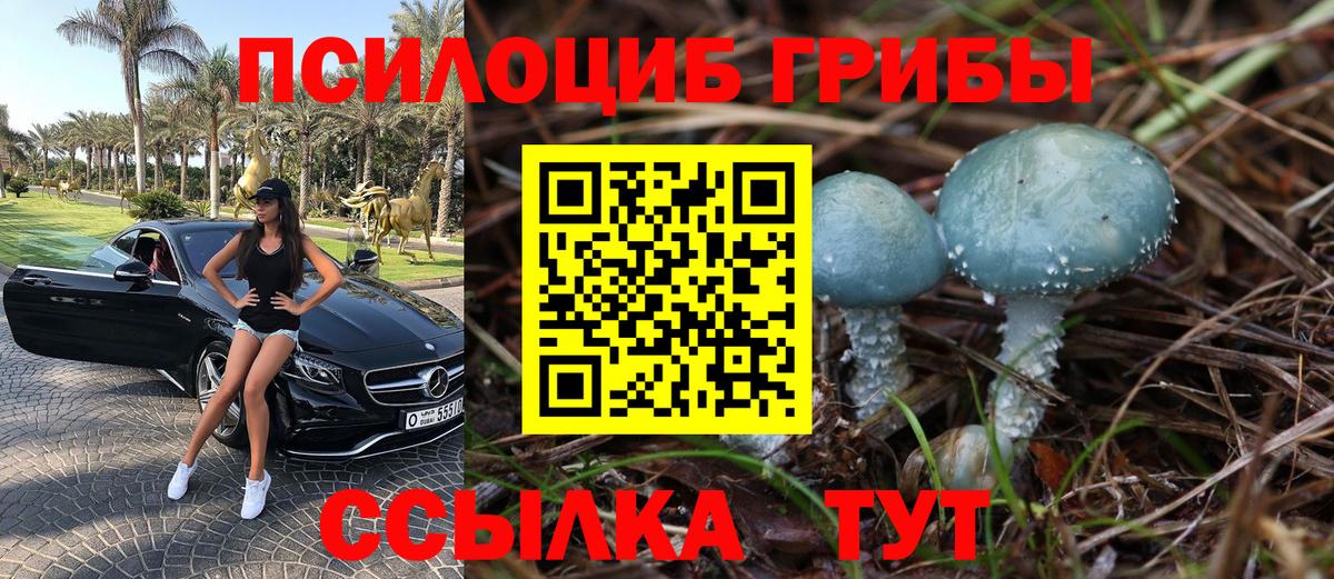 Киселёвск  Псилоцибиновые грибы Psilocybine cubensis  Вход с VPN  Галлюциногенные грибы Psilocybine cubensis 