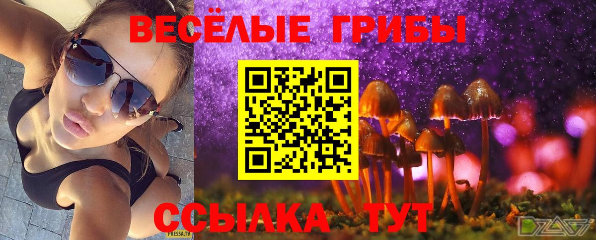 Псилоцибиновые грибы прущие грибы Киселёвск